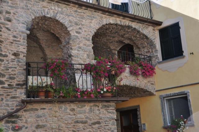 La Meridiana Casale Pignone Ngoại thất bức ảnh